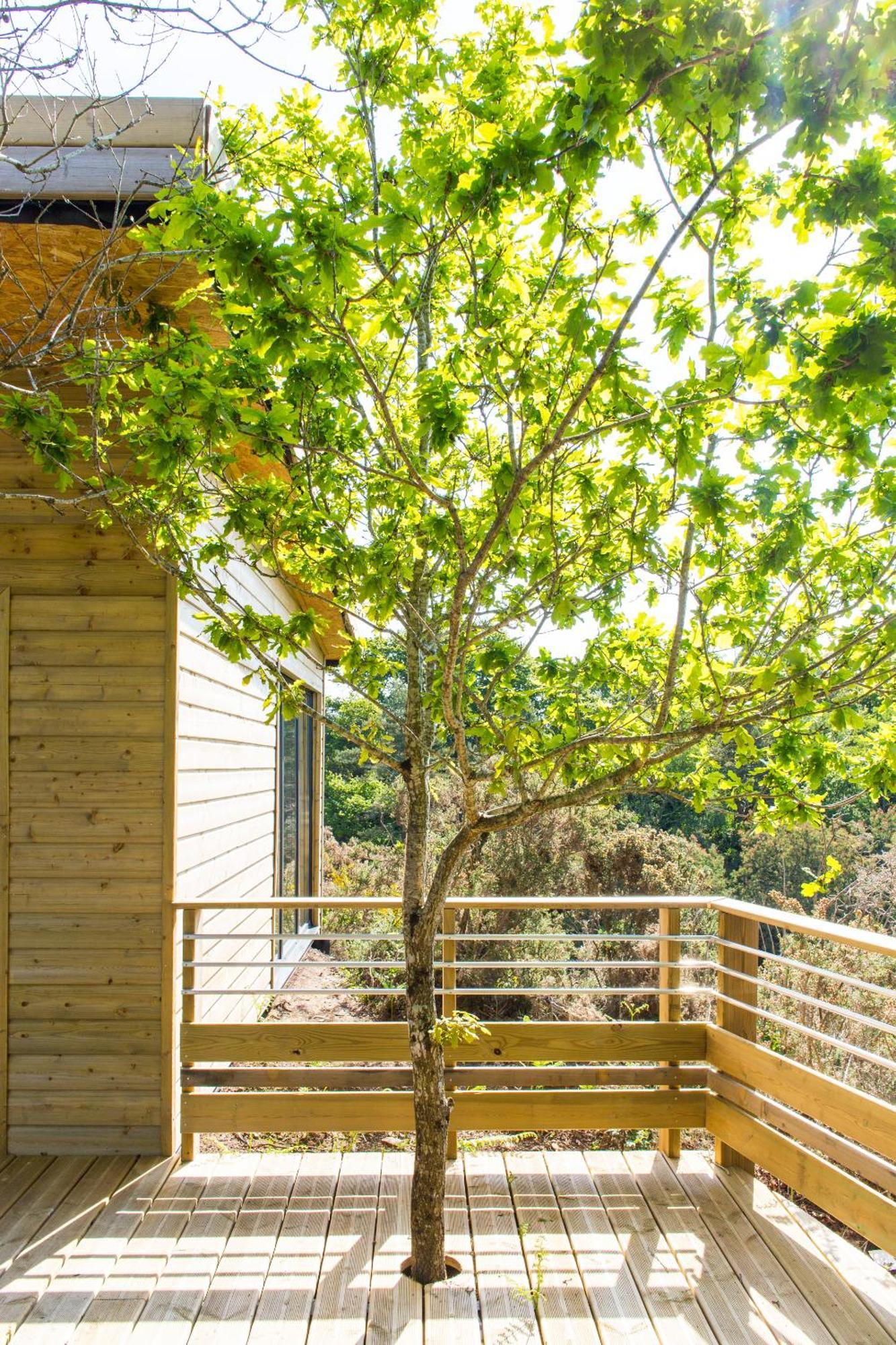 La Carri'Air Villa Pont-Aven Værelse billede